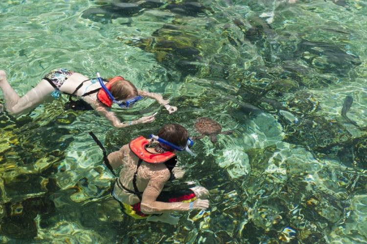 Cayman Turtle Centre